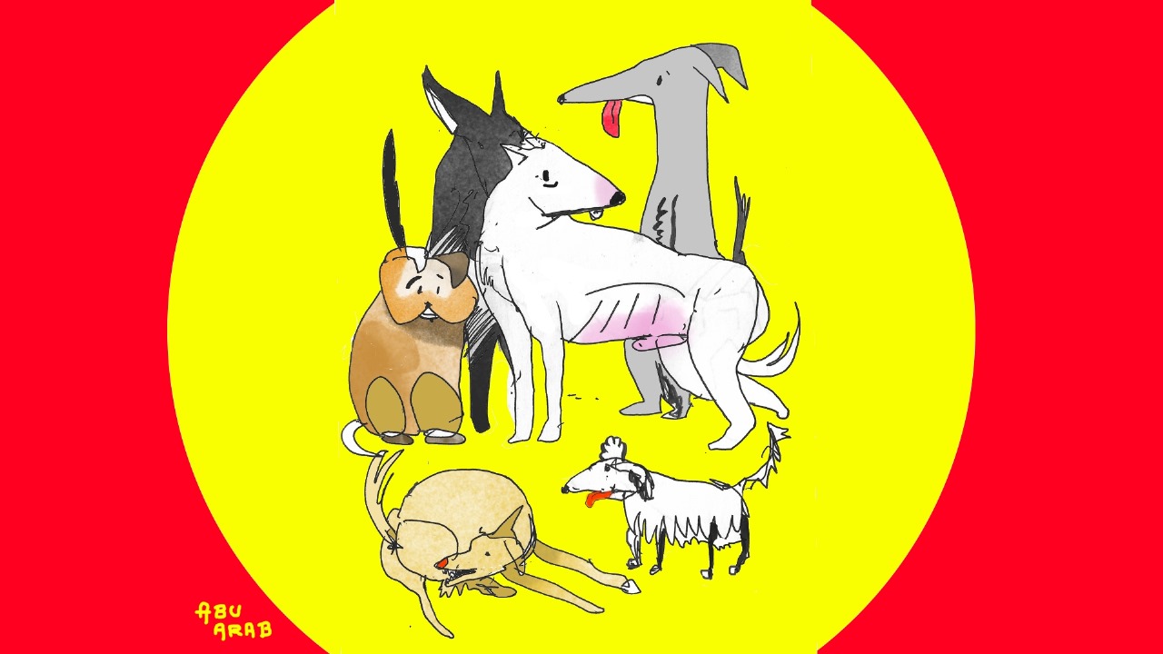 ¡GUAU! VIDA DE PERRO EN GUALEGUAYCHÚ