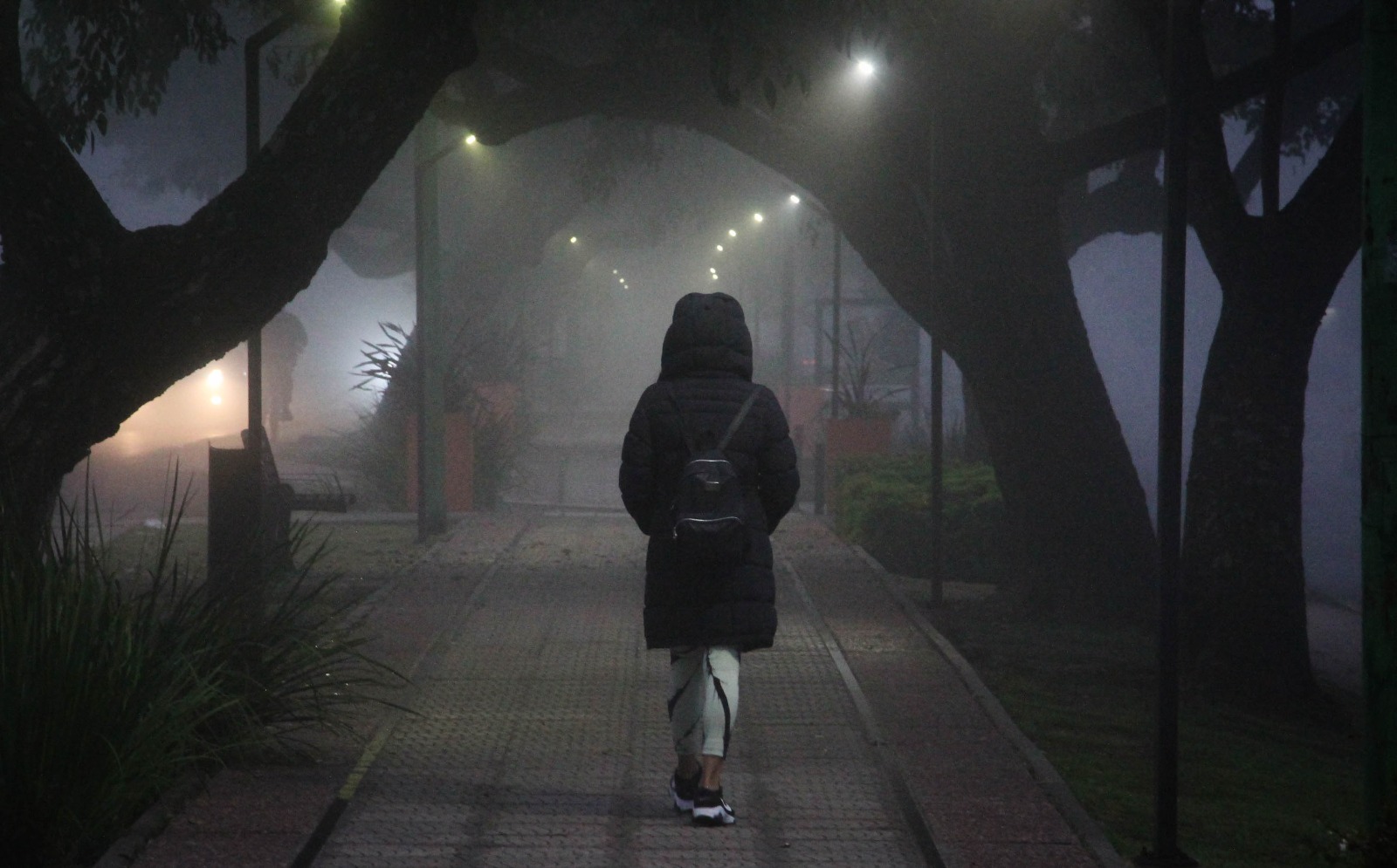Mujer contemplando la lluvia en un poema sobre la transformación personal